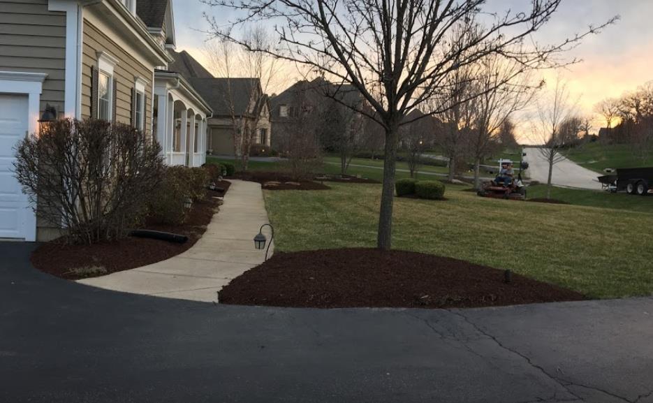 Lugo Landscaping: Service Image-1 Lugo Landscaping: Service Image-1