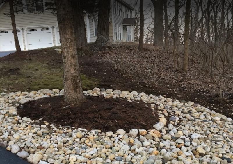 Lugo Landscaping: Service Image-3 Lugo Landscaping: Service Image-3