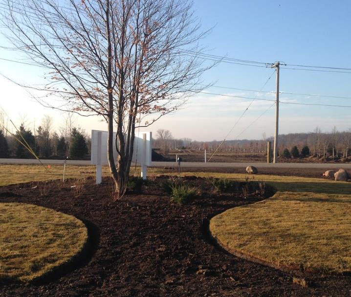 Lugo Landscaping: Service Image-5 Lugo Landscaping: Service Image-5