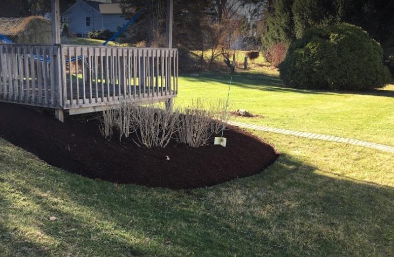 Lugo Landscaping: Service Image-6 Lugo Landscaping: Service Image-6